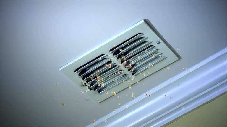 Best Ventilation Cleaning Services  in Robinhood, MS