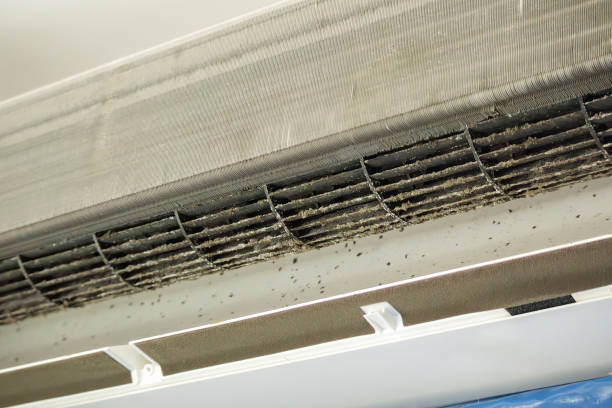 Best HVAC Duct Inspection Services  in Robinhood, MS